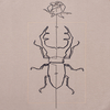 swtshirt BEetLE cappuccino