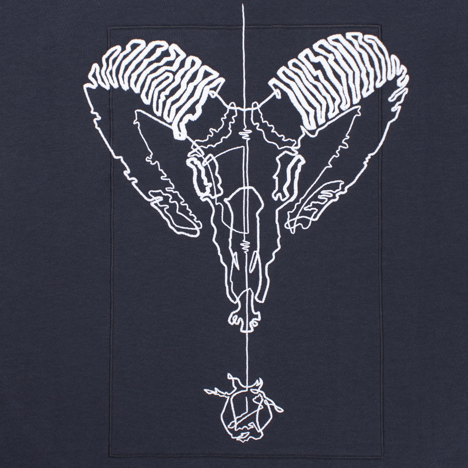 t-shirt ARiES f_terry