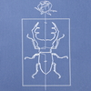  t-shirt BEEtLE denim blue