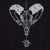 sweatshirt ARiEs black