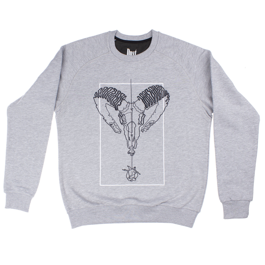 sweatshirt ARiES gray