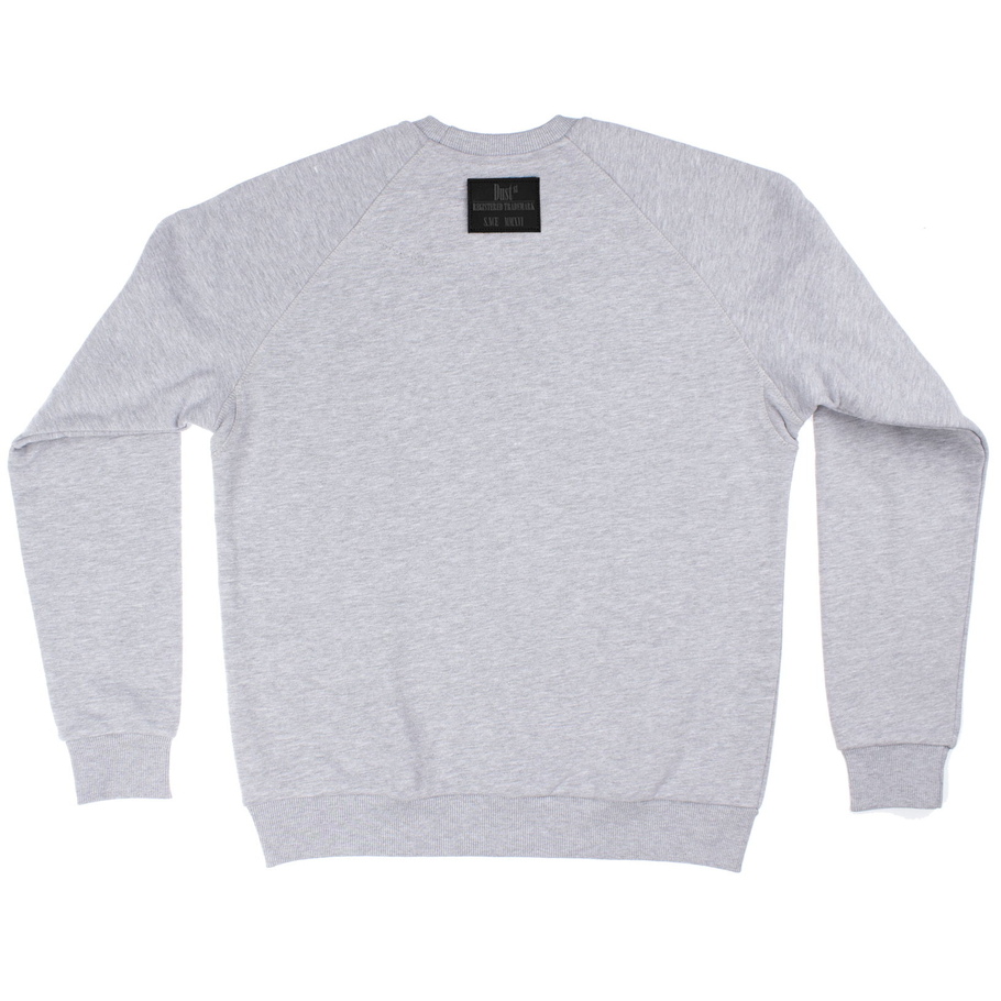 sweatshirt ARiES gray