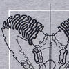 sweatshirt ARiES gray