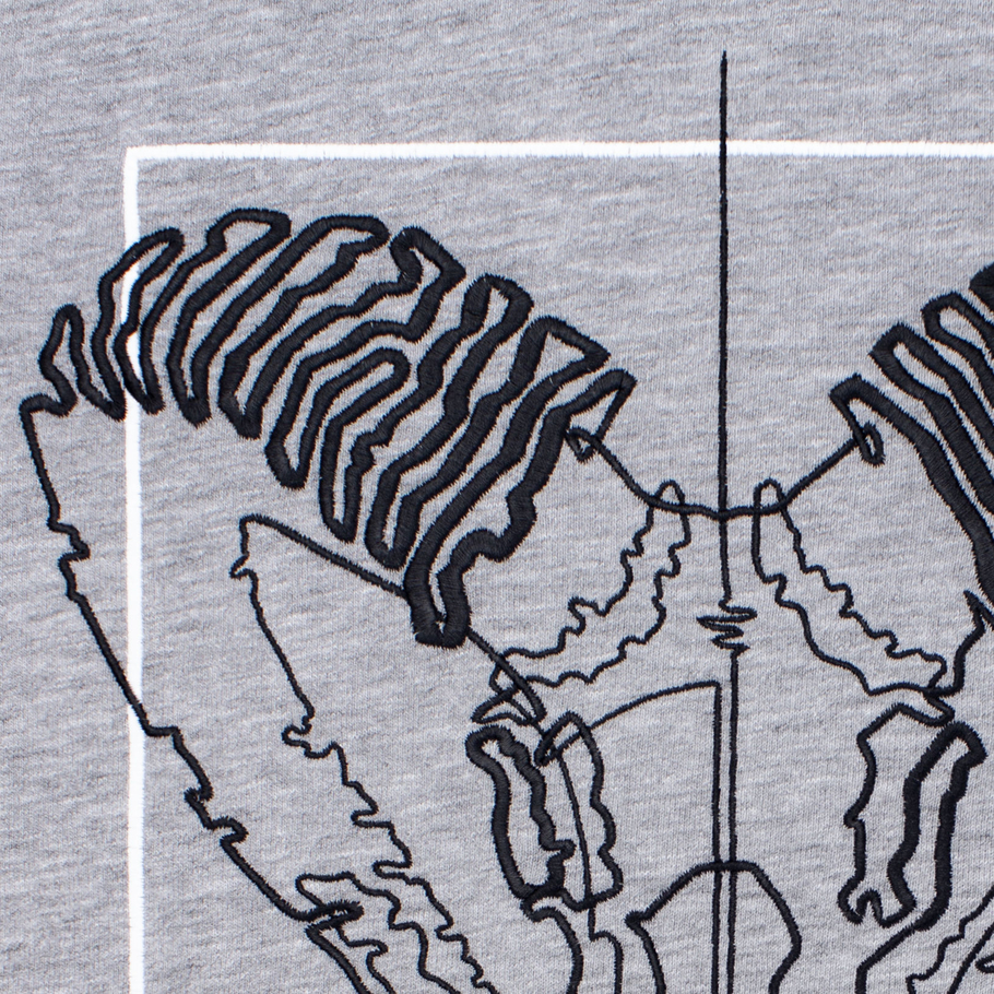 sweatshirt ARiES gray