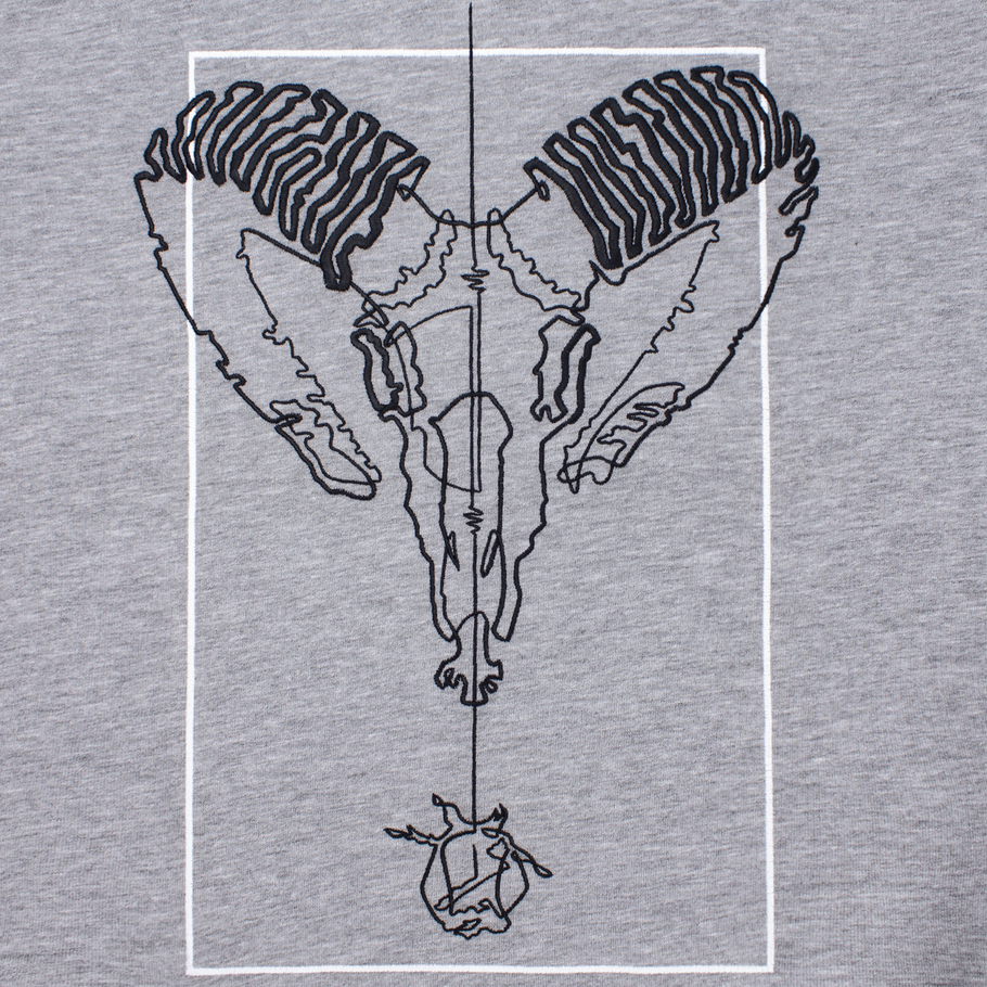 sweatshirt ARiES gray